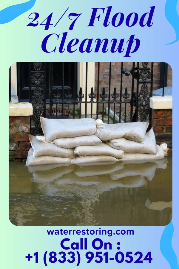24/7 Flood Cleanup in Lago, TX