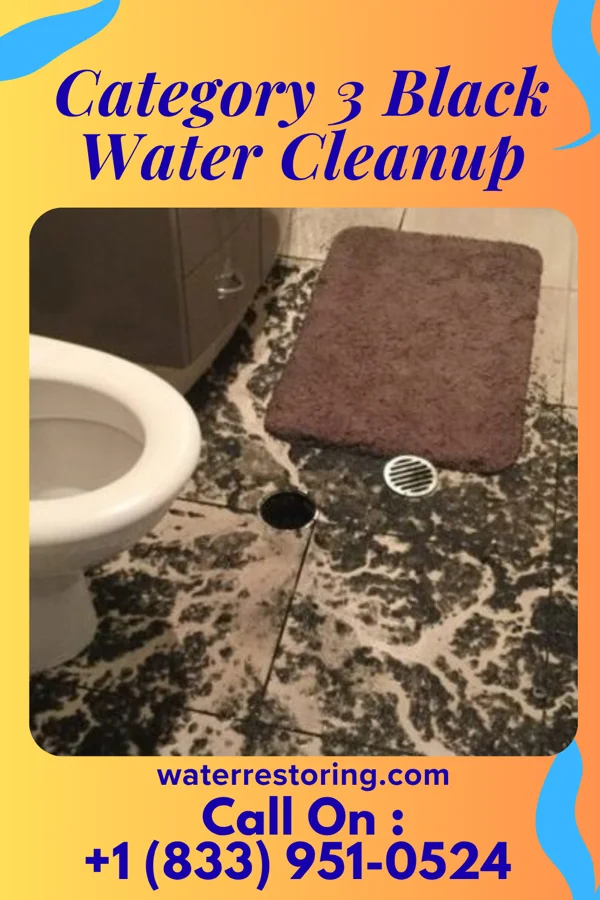 Category 3 Black Water Cleanup in Lago, TX