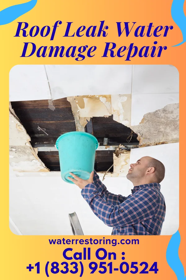 Roof Leak Water Damage Repair in Lago, TX