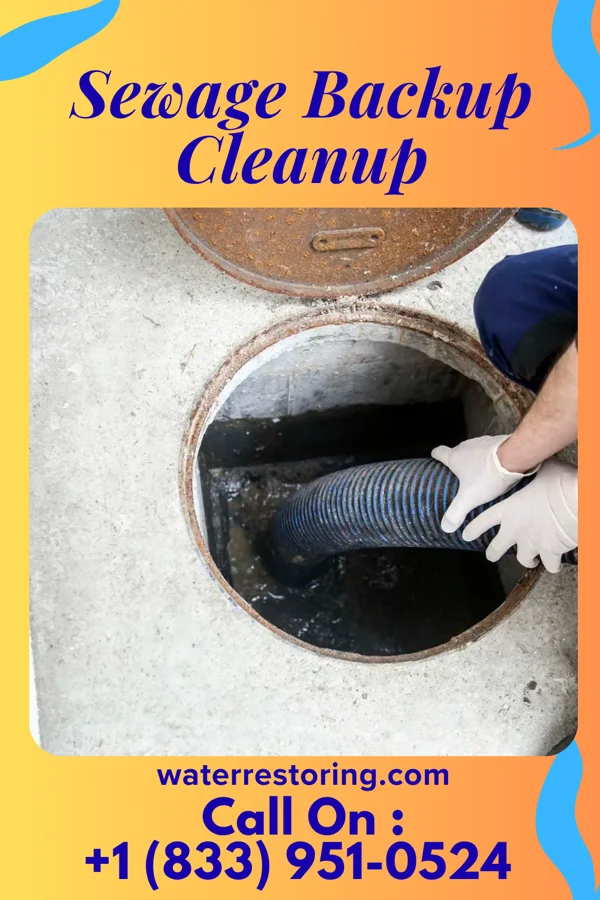 Sewage Backup Cleanup in Lago, TX